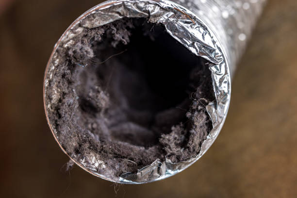 Best Ductwork Cleaning Services  in Navy Yard City, WA